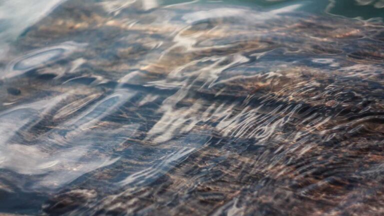 How Secure Is Http 11Xplay Pro Login Link?