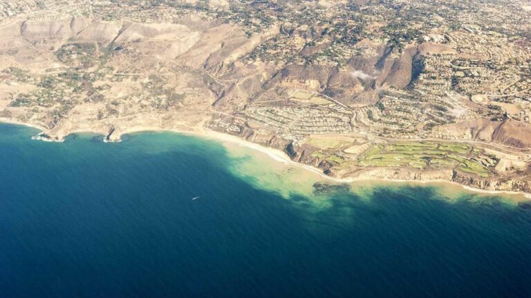 How To Register And Download Cricbet99 Club Login?